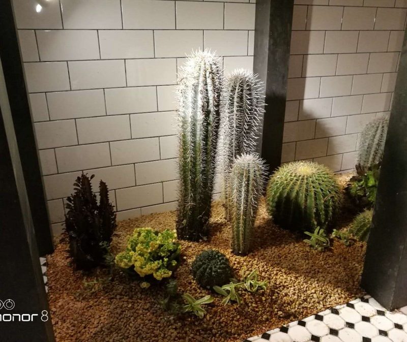 摩根菲西餐厅4 摩根菲西餐厅4